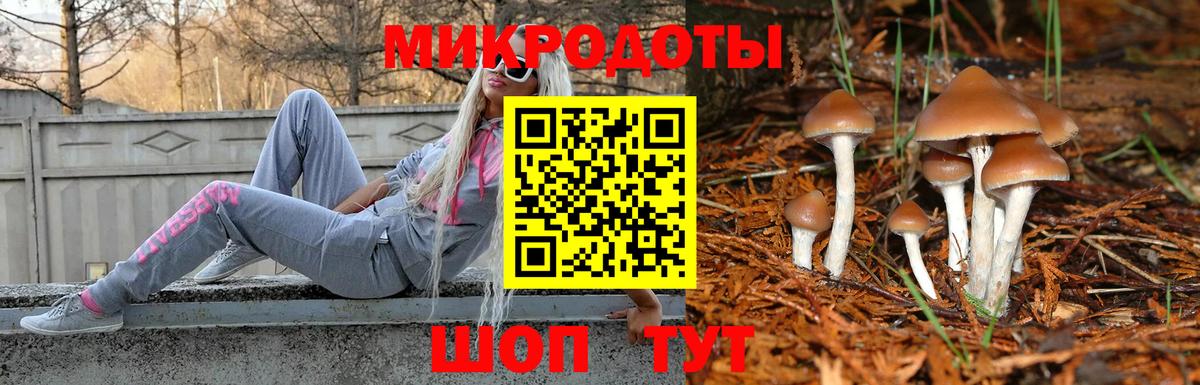 Псилоцибиновые грибы прущие грибы  Псилоцибиновые грибы GOLDEN TEACHER  Вход с VPN  Мурино 